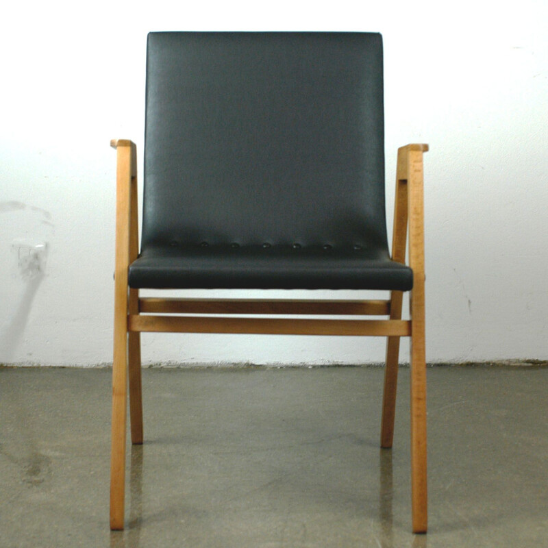 Vintage armchair by Roland Rainer, Austria