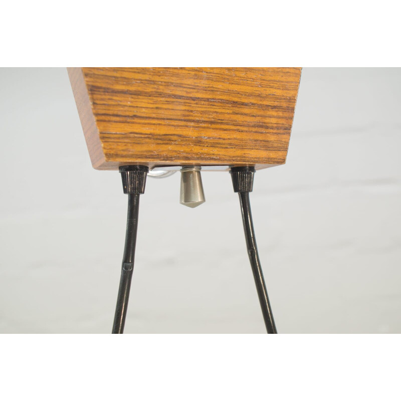 Vintage hanging lamp in rosewood and glass