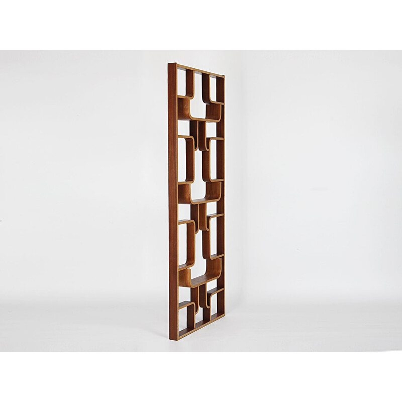 Vintage room divider in mahogany by Ludvik Volak for Drevopodnik Holesov