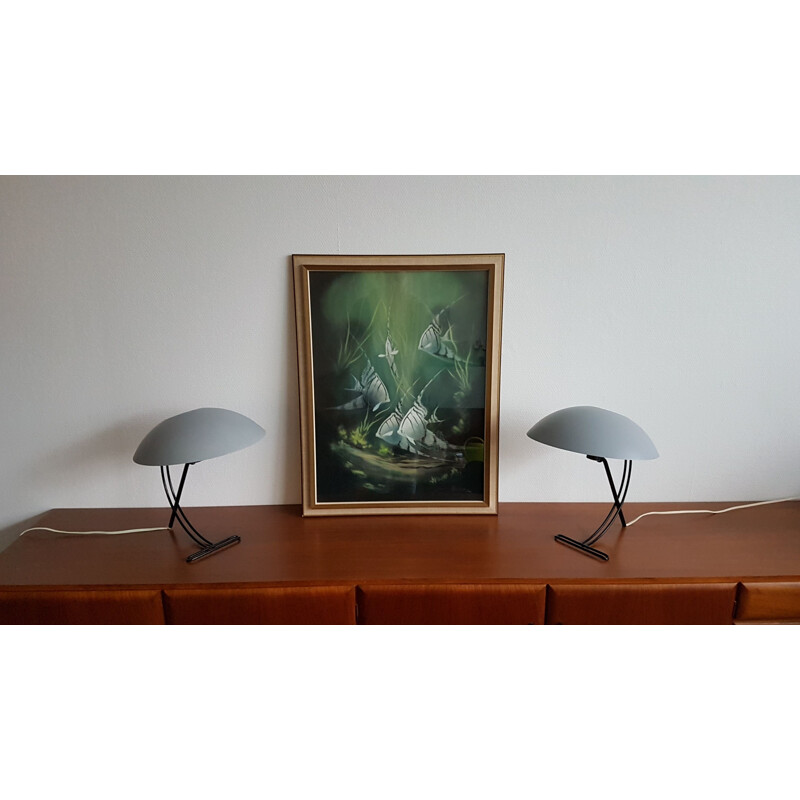 Vintage lamp NB100 by Louis Kalff for Philips
