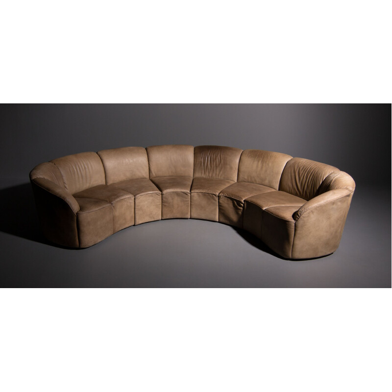 Piccolino sofa in brown leather by Walter Knoll