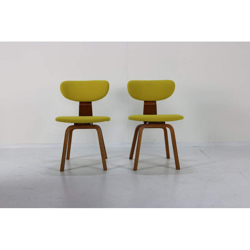 Set of 2 vintage chairs by Cees Braakman for Pastoe