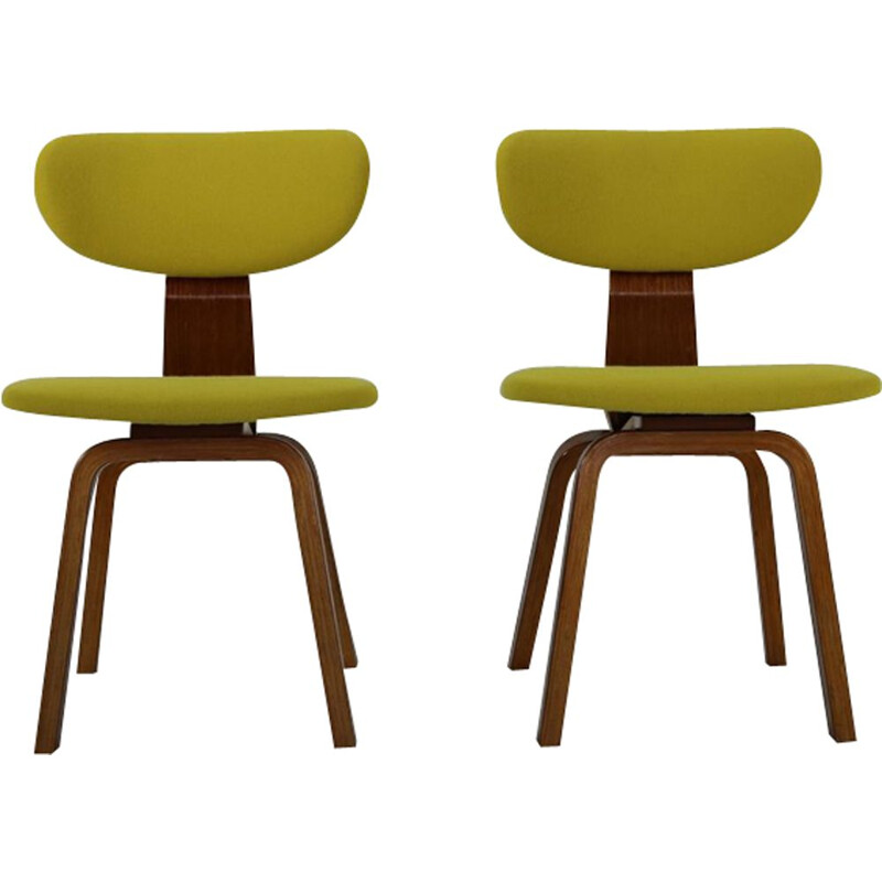 Set of 2 vintage chairs by Cees Braakman for Pastoe