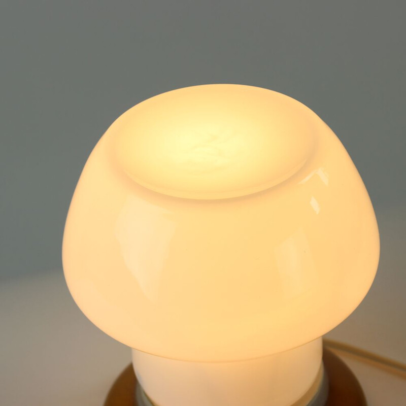 Lampe vintage en porcelaine et verre opalin blanc par Kamenicky Senov