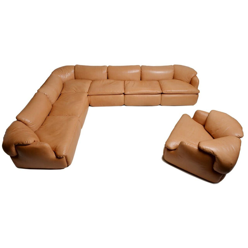 Vintage-Sofa für Saporiti von Rossili aus braunem Leder und Fiberglas 1970