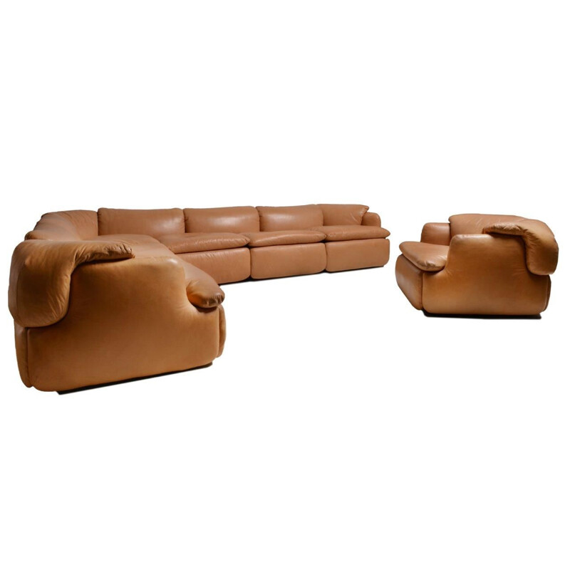 Vintage brown leather sofa by Rosselli for Saporiti in glass fiber 1970