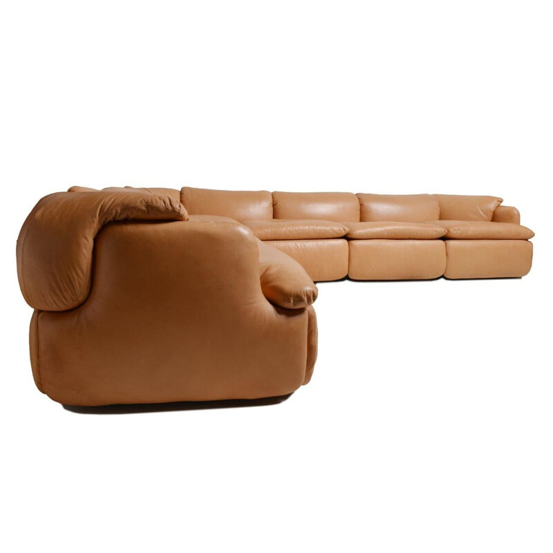 Vintage brown leather sofa by Rosselli for Saporiti in glass fiber 1970