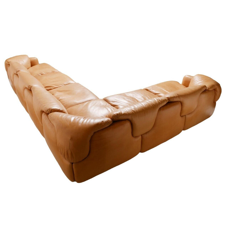 Vintage brown leather sofa by Rosselli for Saporiti in glass fiber 1970