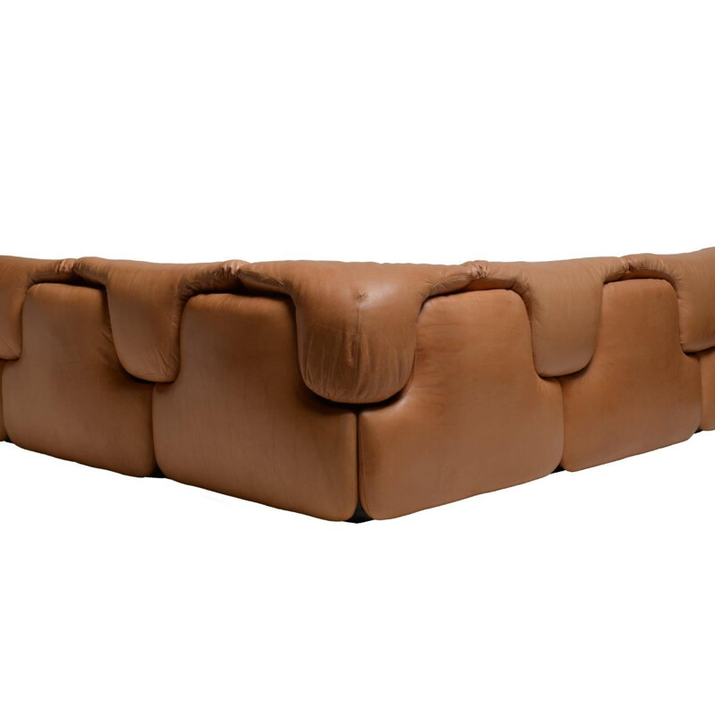 Vintage brown leather sofa by Rosselli for Saporiti in glass fiber 1970