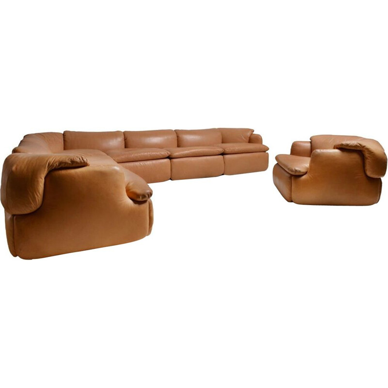 Vintage brown leather sofa by Rosselli for Saporiti in glass fiber 1970