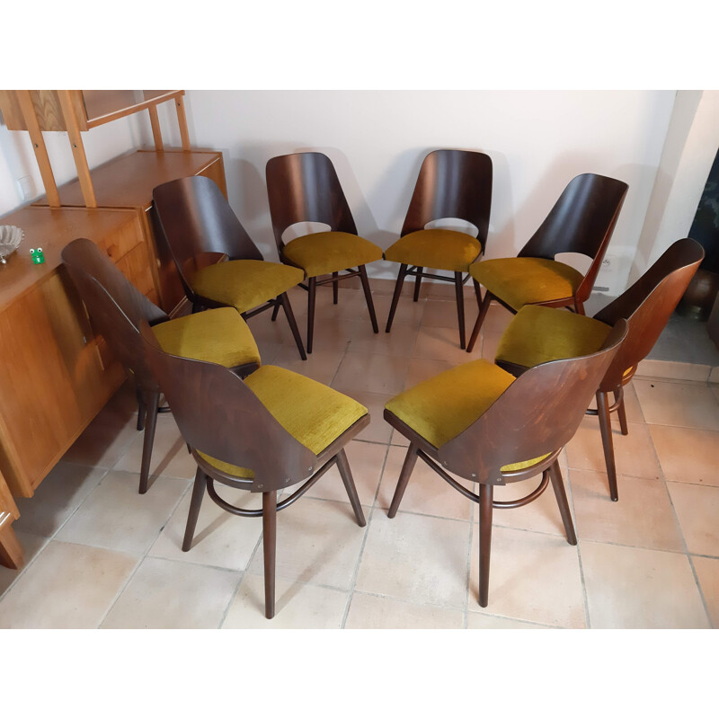 Set of 8 vintage Jirak yellow chairs for TON in walnut