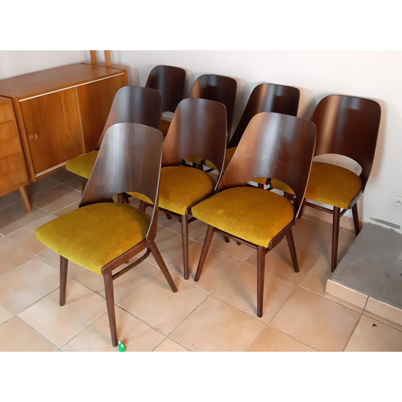 Set of 8 vintage Jirak yellow chairs for TON in walnut