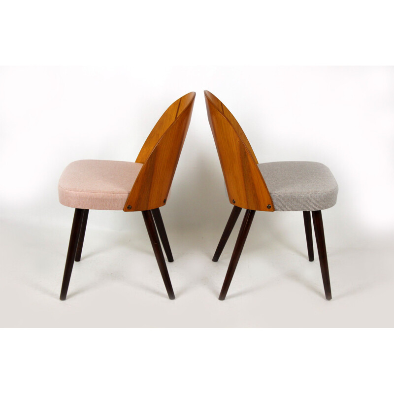Pair of wooden chairs by Antonín Šuman for Tatra