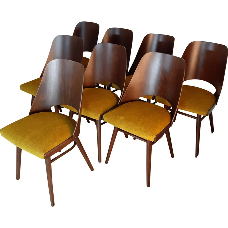 Set of 8 vintage Jirak yellow chairs for TON in walnut