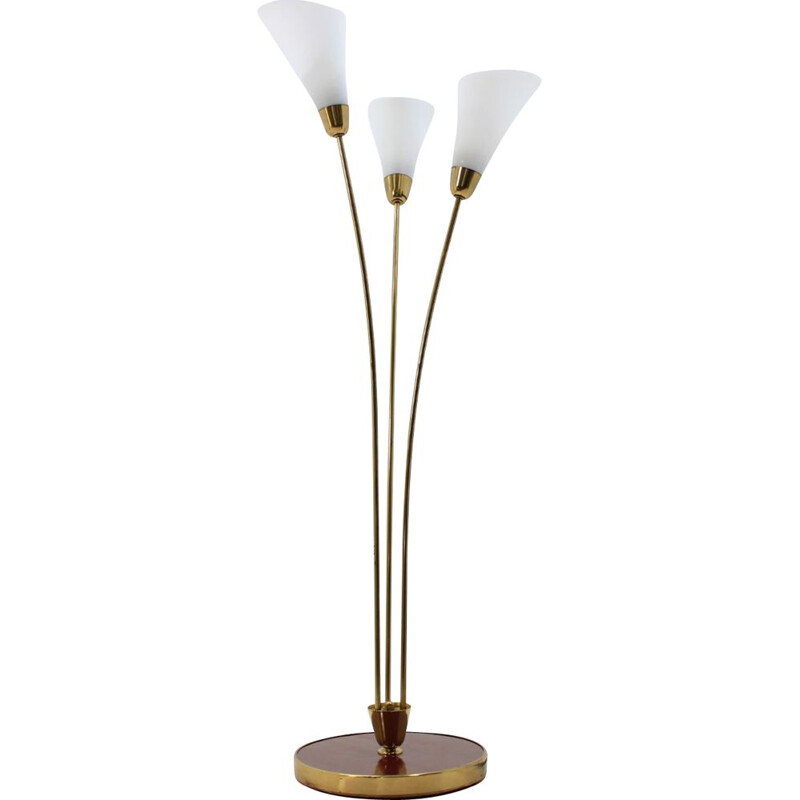 Vintage floor lamp in brass and opaline