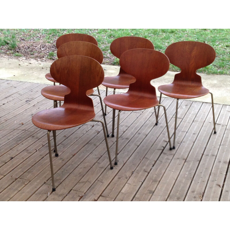 Set of 6 vintage Fourmi 3100 chairs for Hansen in teak and metal 1950