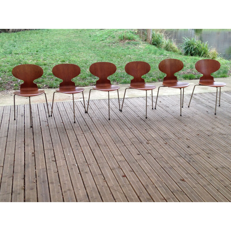 Set of 6 vintage Fourmi 3100 chairs for Hansen in teak and metal 1950