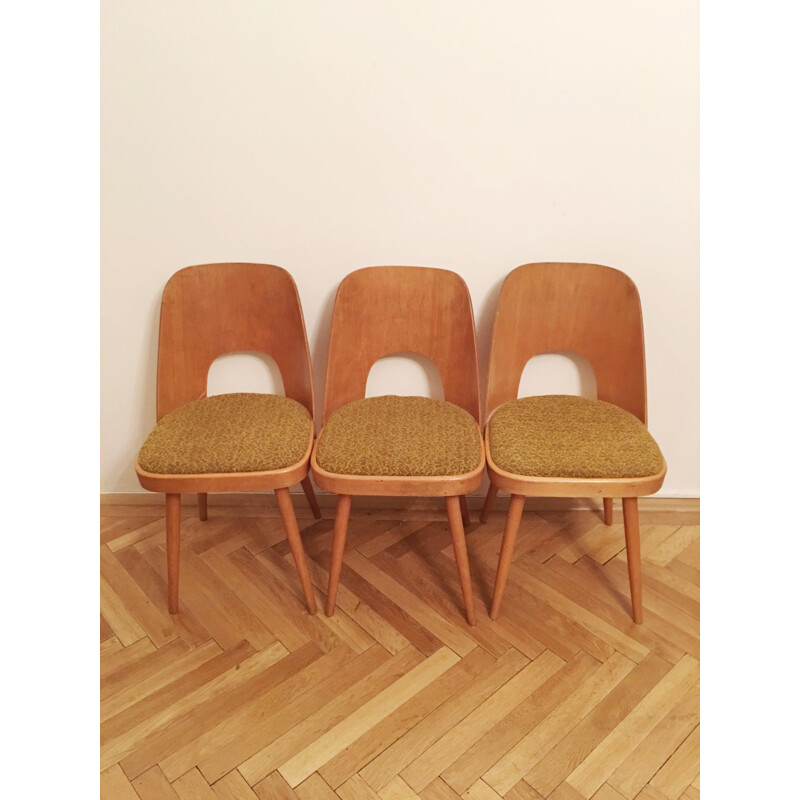 Suite aus 3 Vintage-Stühlen von Oswald Haerdtl für TON