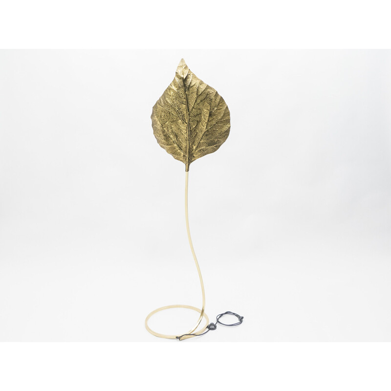 Rubharb floor lamp by Tommaso Barbi in brass