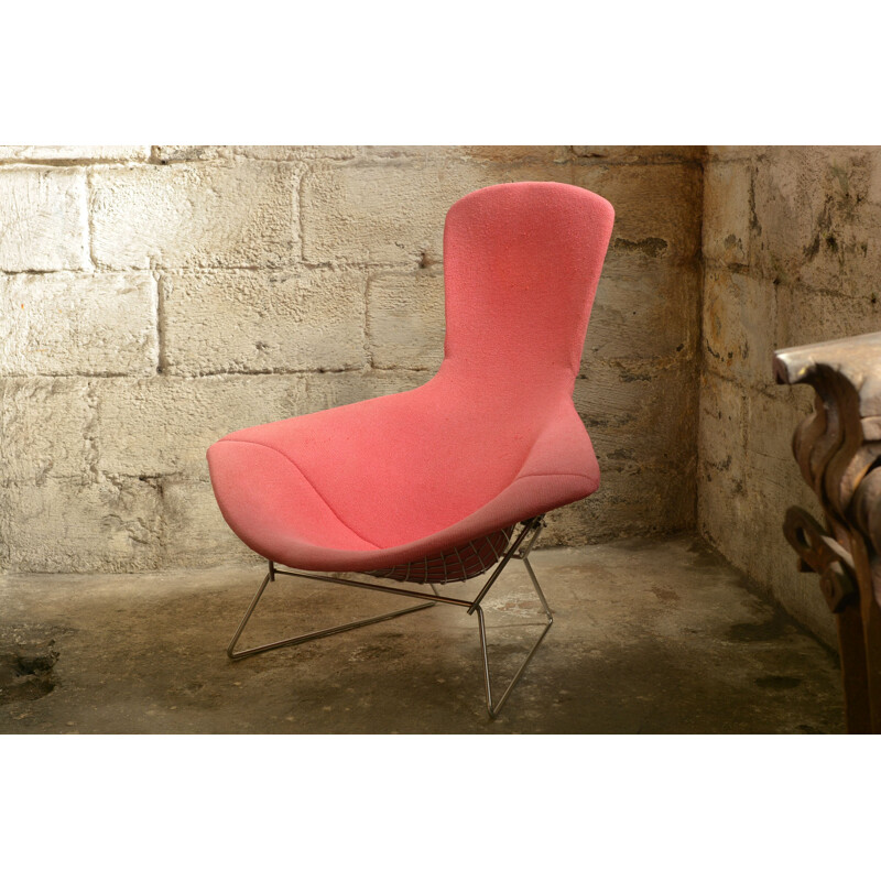 Vintage Bird armchair by Harry Bertoia for Knoll