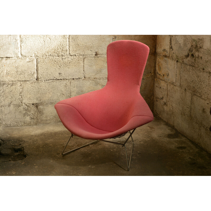 Vintage Bird armchair by Harry Bertoia for Knoll