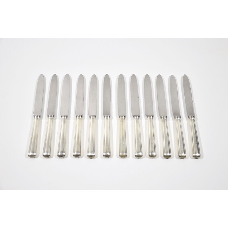 Vintage cutlery set by Gio Ponti for Krupp