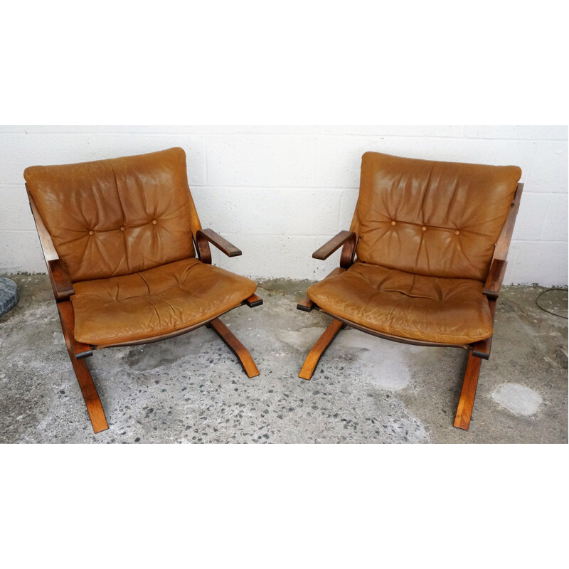 Pair of Pirate armchairs in leather and rosewood