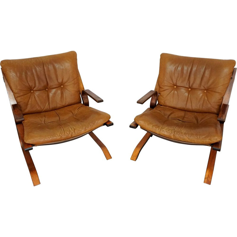 Pair of Pirate armchairs in leather and rosewood