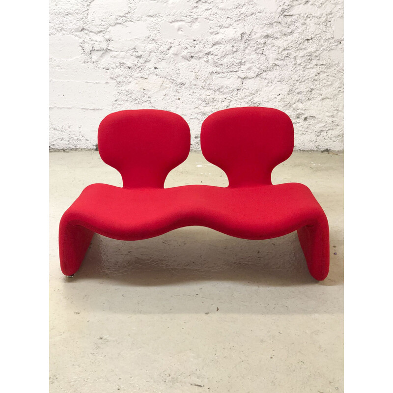 Vintage Djinn sofa for Airborne in steel and red foam 1970