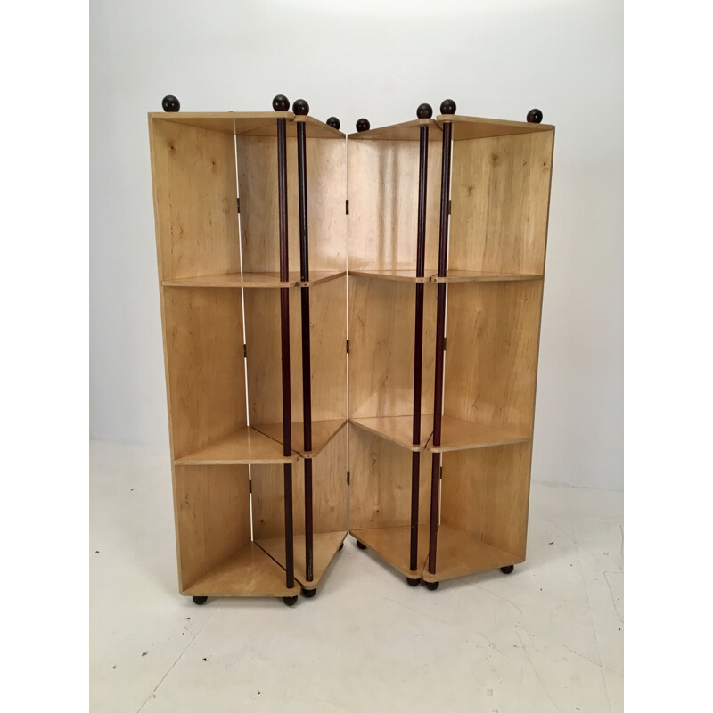 Vintage Room Divider Prototype Metamorphic Shelving System, 1980s