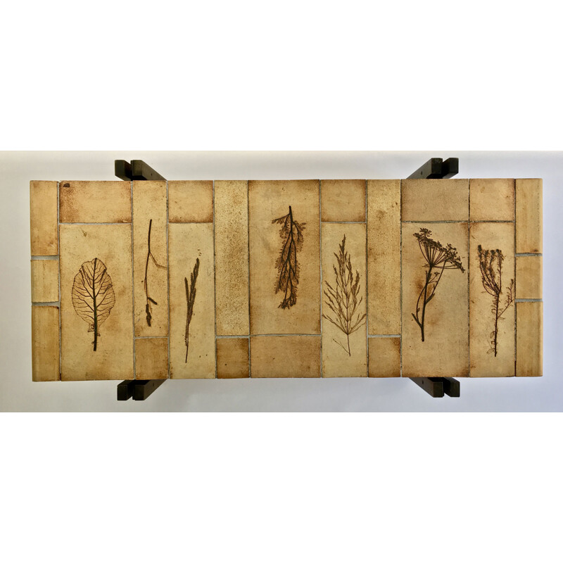 Vintage coffee table model Herbarium by Roger Capron, 1970s
