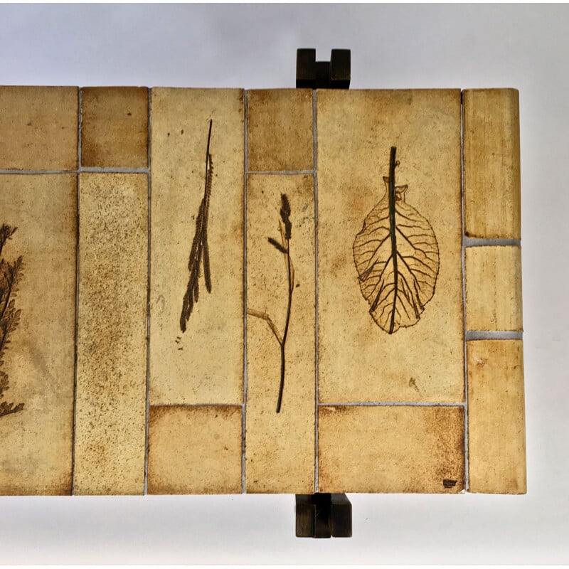 Vintage coffee table model Herbarium by Roger Capron, 1970s