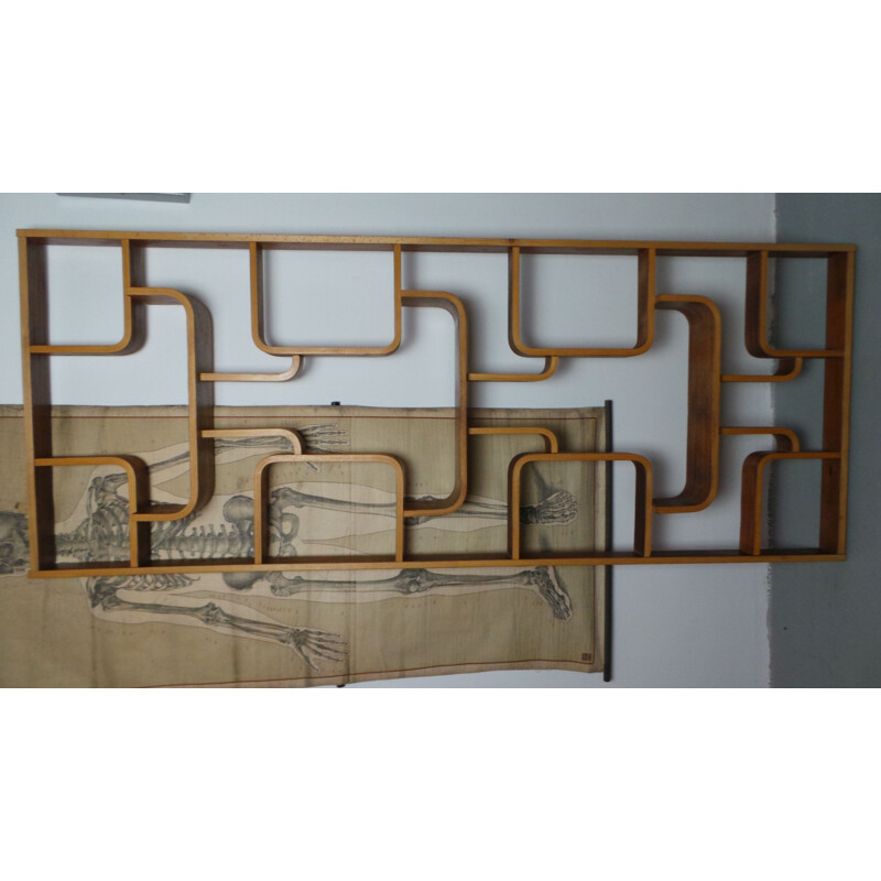 Vintage wall divider for Drevopodnik Holesov in beechwood 1960