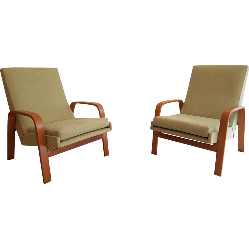 Pair of vintage armchairs ARP for Steiner, France 1950