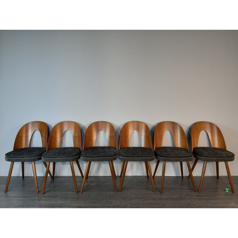 6 chaises à repas vintage en noyer et tissu par Antonin Suman pour MIER,1960