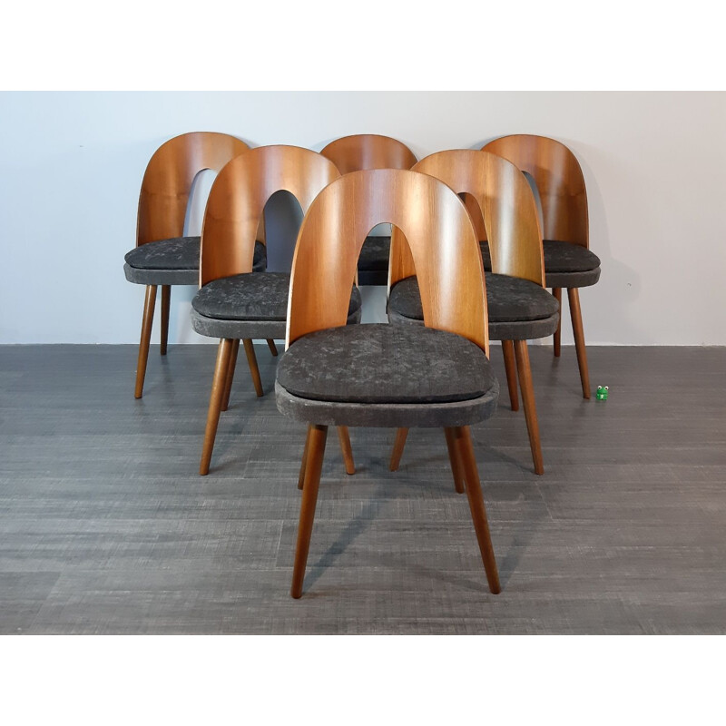 6 vintage dining chairs in walnut and fabric by Antonin Suman in the 60s