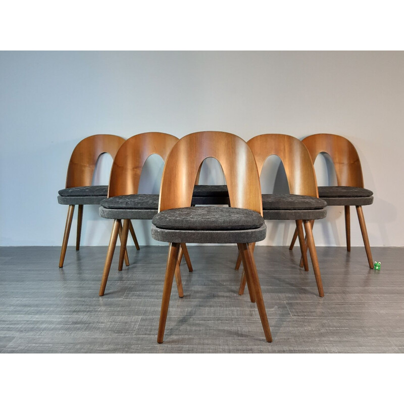 6 vintage dining chairs in walnut and fabric by Antonin Suman in the 60s