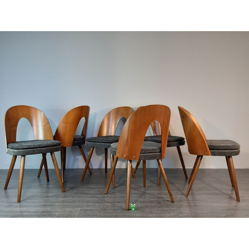 6 chaises à repas vintage en noyer et tissu par Antonin Suman pour MIER,1960