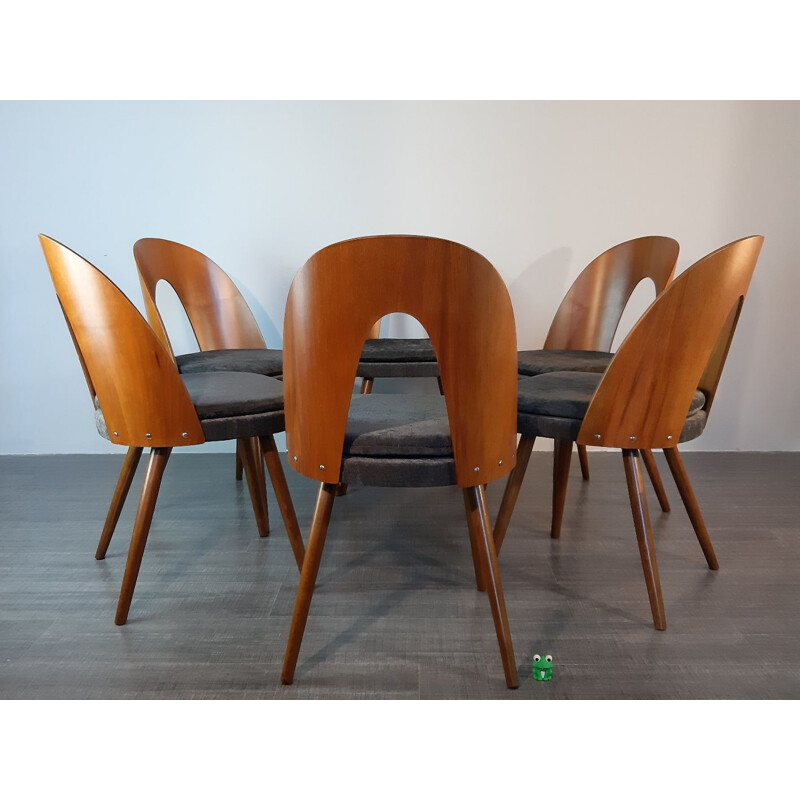 6 vintage dining chairs in walnut and fabric by Antonin Suman in the 60s