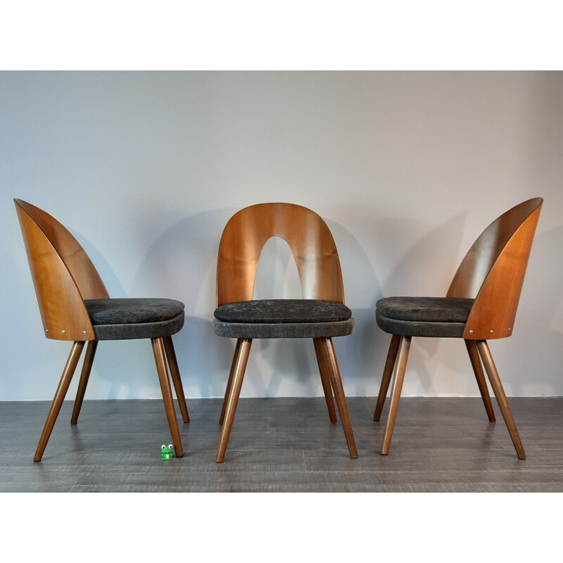 6 vintage dining chairs in walnut and fabric by Antonin Suman in the 60s