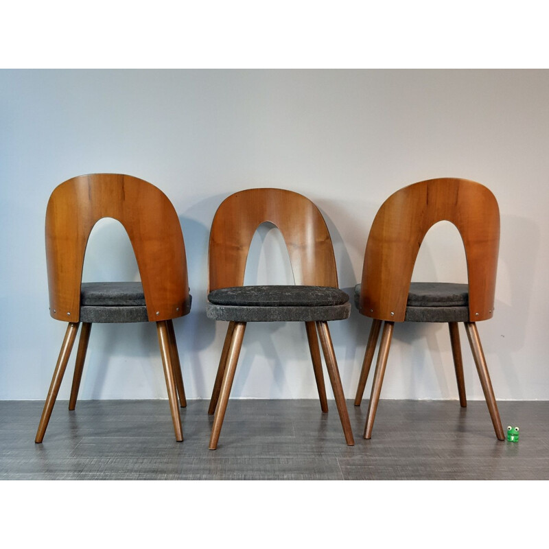 6 vintage dining chairs in walnut and fabric by Antonin Suman in the 60s