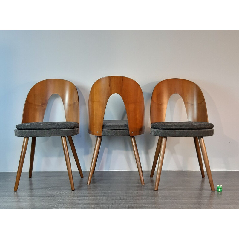 6 vintage dining chairs in walnut and fabric by Antonin Suman in the 60s