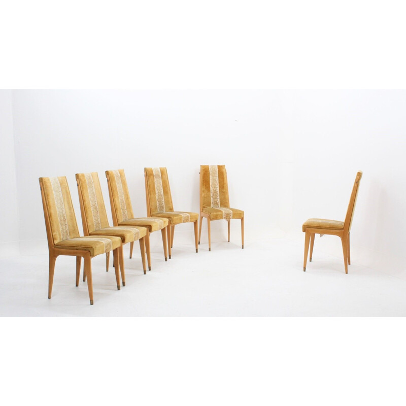 Set of 6 chairs in maple and velvet by Vittorio Dassi