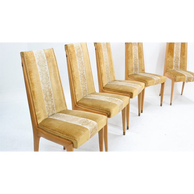 Set of 6 chairs in maple and velvet by Vittorio Dassi