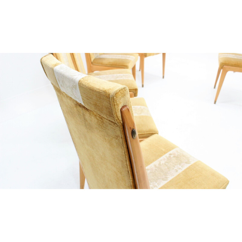 Set of 6 chairs in maple and velvet by Vittorio Dassi