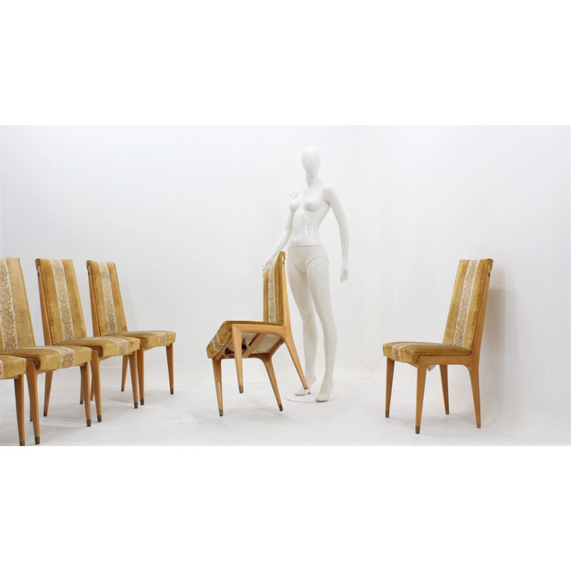Set of 6 chairs in maple and velvet by Vittorio Dassi