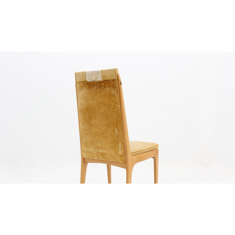 Set of 6 chairs in maple and velvet by Vittorio Dassi