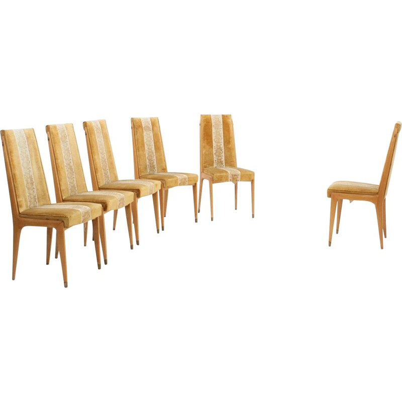 Set of 6 chairs in maple and velvet by Vittorio Dassi