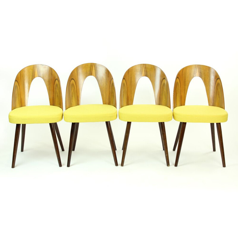 Set of 4 vintage Tatra chairs by Antonin Suman in Walnut