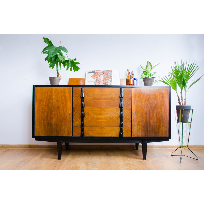 Vintage sideboard by Rajmund Teofil Hałas,1960